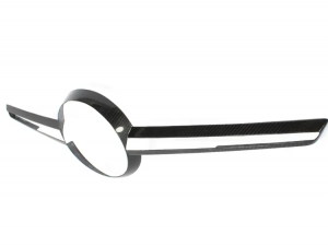 Mercedes Benz SLK Grill Trim - Front - Carbon Fiber - R172